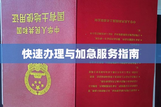 道滘快速办理与加急服务指南